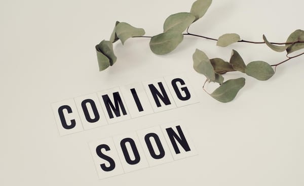 Games-Releases in Kalenderwoche 49 vom 05. bis 11. Dezember 2022