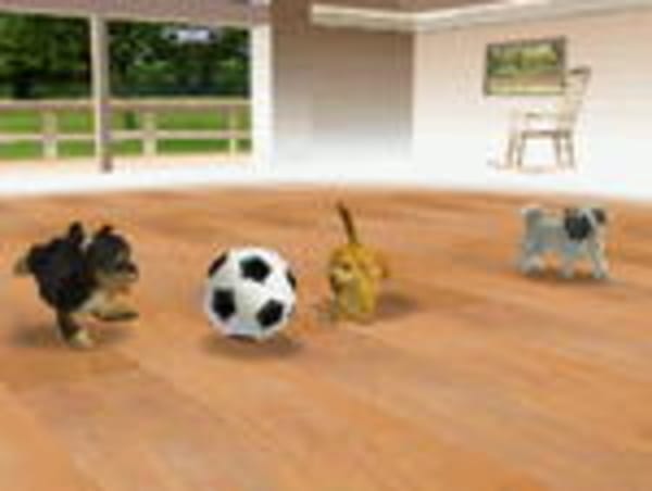 Millionenhit "Nintendogs"