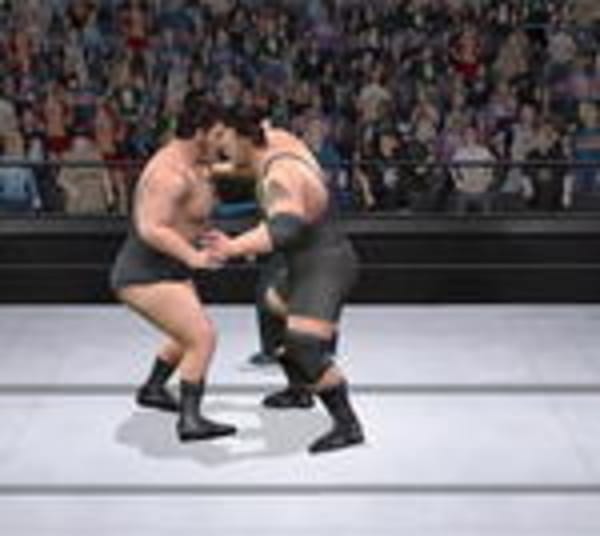 Skandal um Wrestling-Lizenzen