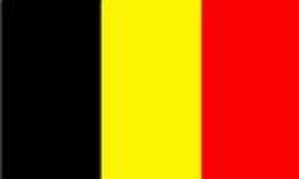 Belgische CE-Industrie trotzt allgemeinem Negativtrend