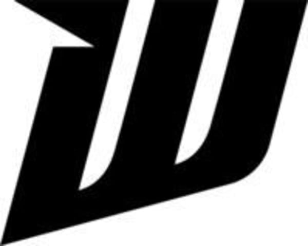 Playful Studios sammeln 46 Millionen Dollar für Web3-Spiel "Wildcard"