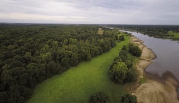 Xsolla investiert für zwei Waldrettungen in den GamesForest.Club