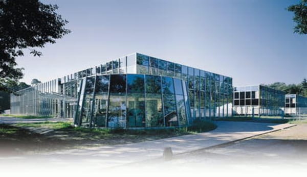 Weniger Vertrauen in Singulus-Aktien