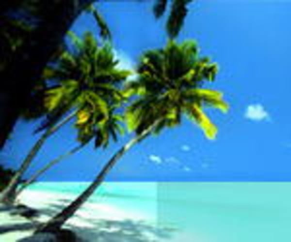 Traumjob gefällig? Konami Hawaii sucht Mitarbeiter