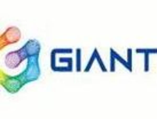 China: Investoren wollen Giant Interactive privatisieren