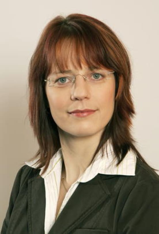 Schönbeck übernimmt GC-Projektleitung