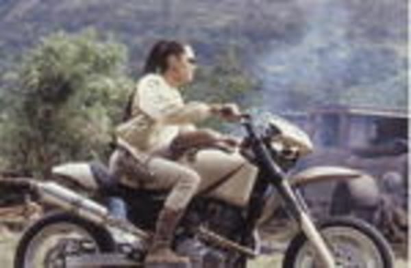 Sechsmal "Lara" in einer Box