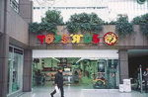 Toys'R'Us mit weniger Umsatz und Gewinn