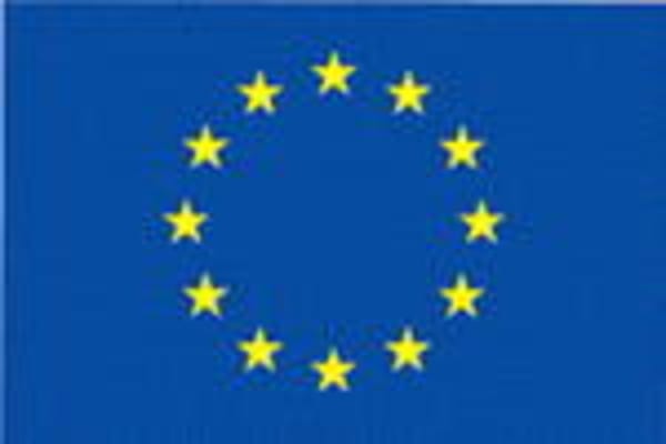 16 Prozent der EU-Bürger shoppen online