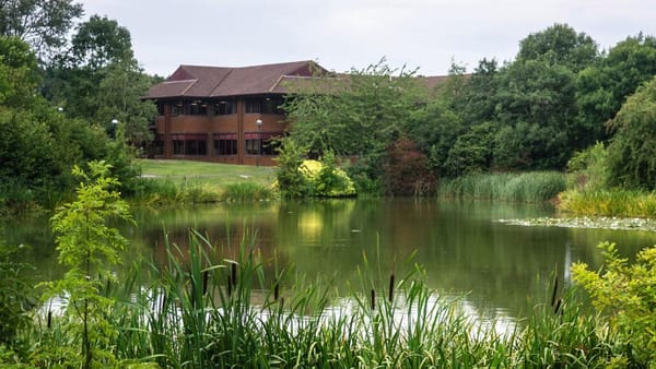 Microsoft beschließt Lionhead-Aus