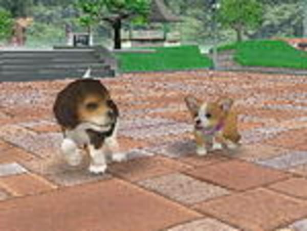 Europäische DS-Fans echte Hundenarren