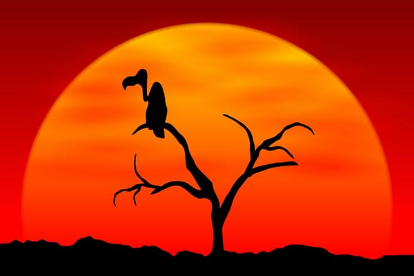 UK-Publisher Mastertronic in Schwierigkeiten