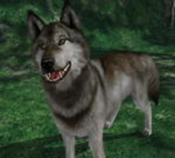 Im Porträt: Middleware-Anbieter Trinigy