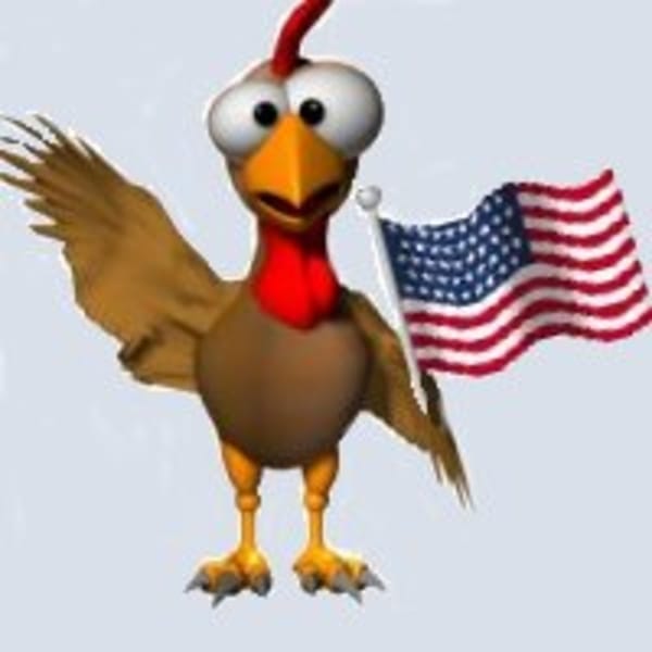 "Moorhuhn" startet in USA als "Moorhen"