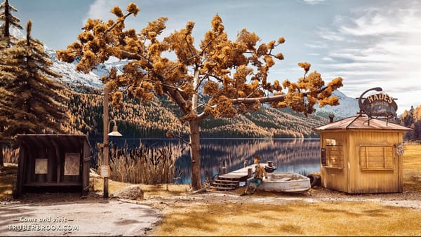 "Trüberbrook" gewinnt erneut