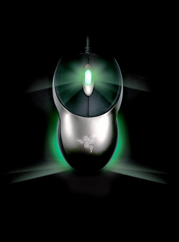 Boomslang kommt zurück