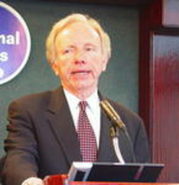 Liebermann kritisiert "Vice City"