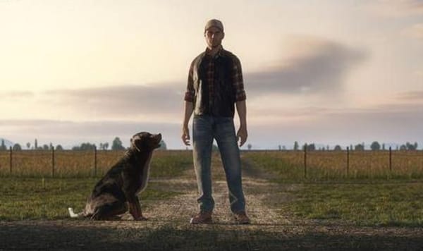 "Landwirtschafts-Simulator 19" kommt Ende 2018