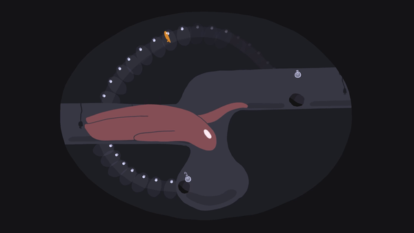 Mucks Games Nominated for Apple's App Store Award