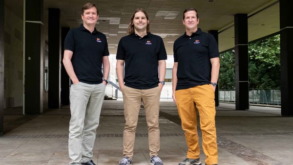 CipSoft Satisfied with 2024 Despite Decline in Sales and Profits