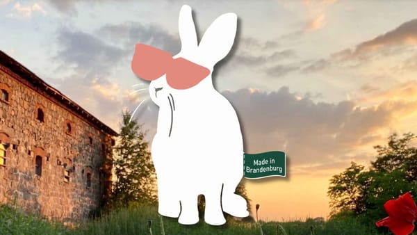 The Rabbit Indie Games Residency Seeks Participants for 2025
