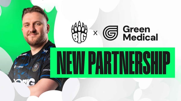 BIG and GreenMedical Have Launched a Partnership