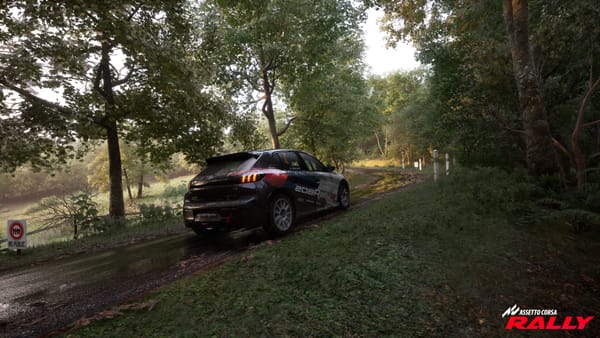 Assetto Corsa Rally