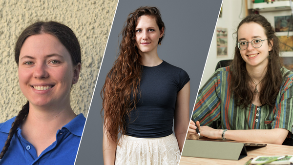 These German-Swiss Cooperators Want to Bring Good Old Horse-Gaming Back