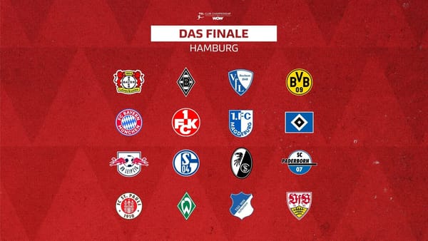 VBL Club Championship Final to Be Held in Hamburg for the First Time