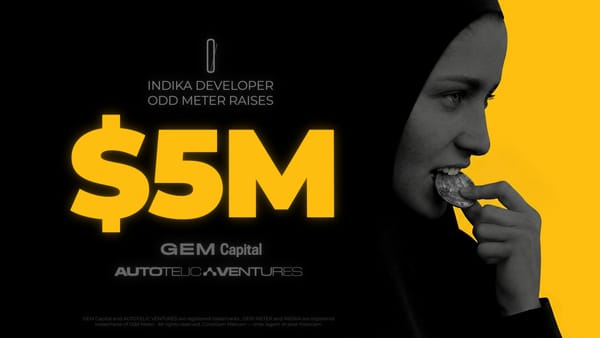 Odd Meter Raises $5M From GEM Capital and Autotelic Ventures
