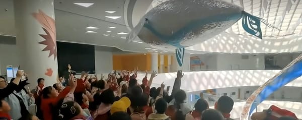 Federal Funding Goes to SkySpirit